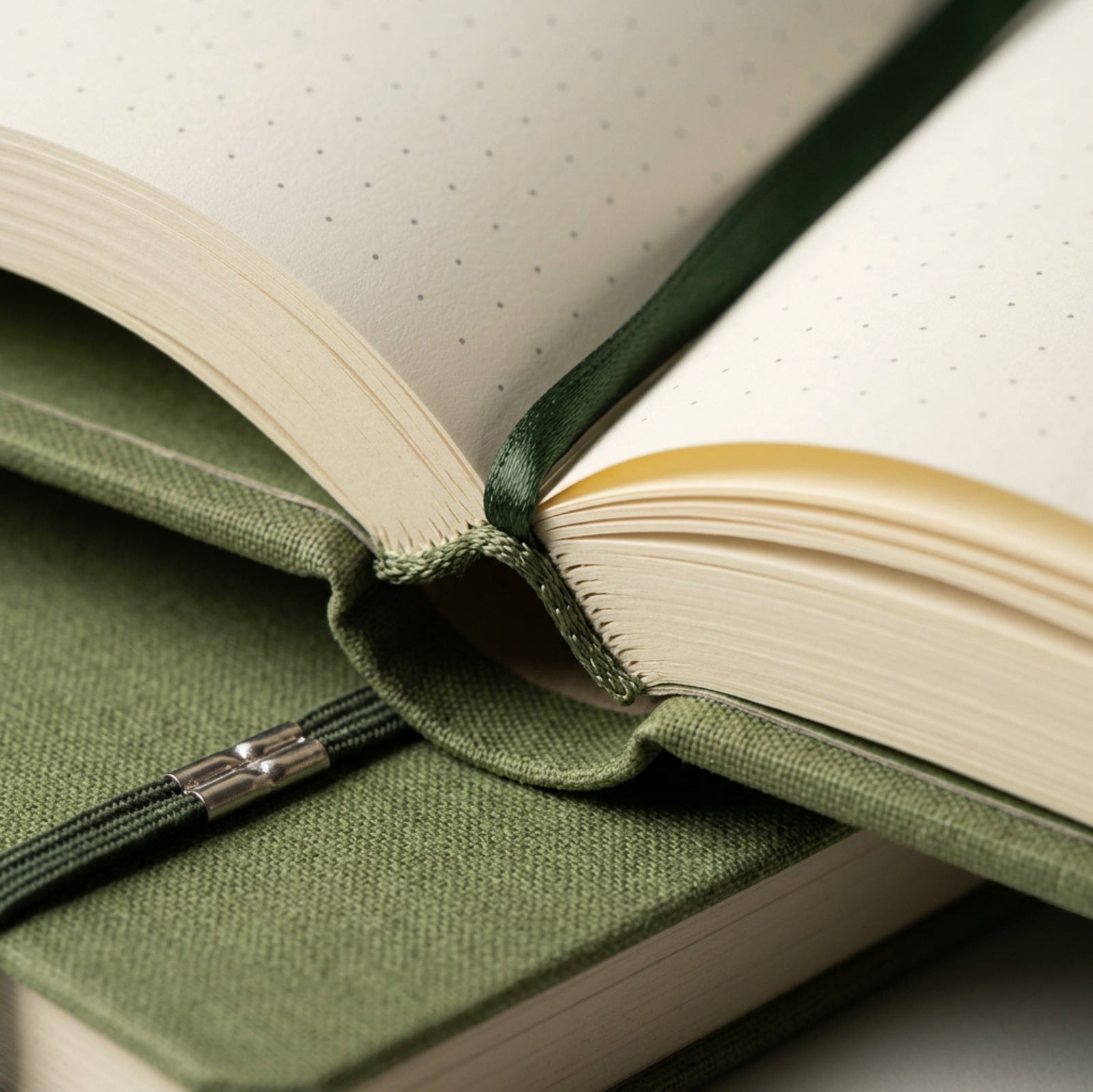 Spacelys Fieldnote Hardcover Dotted Journal A5 Moss 192 Pages - Detail view